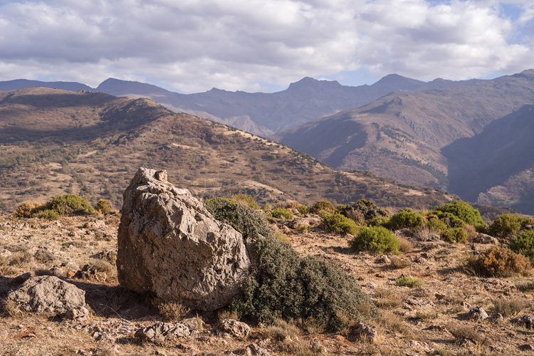 Sierra Nevada